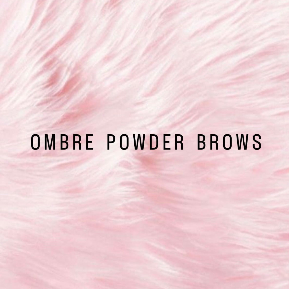 Ombre powder brows